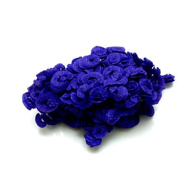 Azul-Escuro Azul-Escuro