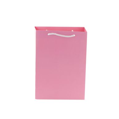 sacola-de-presente-155x6x21cm-rosa-alcalima--1-