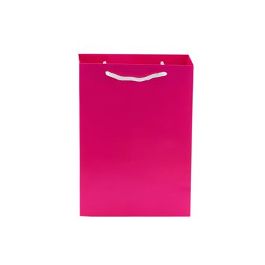 sacola-de-presente-155x6x21cm-rosa-pink-alcalima--2-