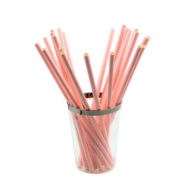 canudo-de-papel-artegift-c-25-unidades-rosa-liso canudo-de-papel-artegift-c-25-unidades-rosa-liso