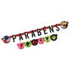faixa-parabens-ladybug-miraculous