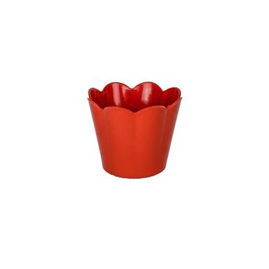 _DSC7136-Editar _DSC7136-Editar