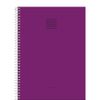 Capa-Fluor-Mix-1