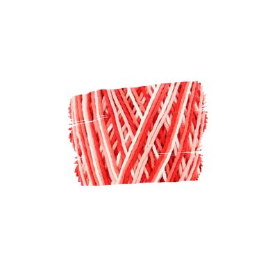 Barbante-Barroco-Circulo-Multicolor-9202